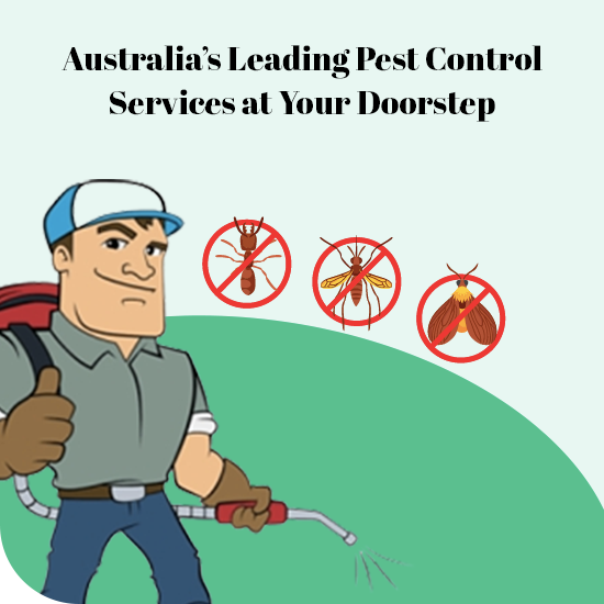 bendigo Most Trusted Pest Control Services