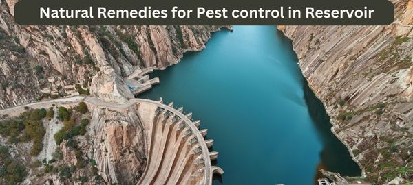 Natural Remedies for Pest control in Reservoir