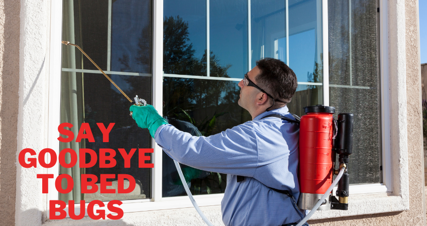 Say Goodbye to Bed Bugs